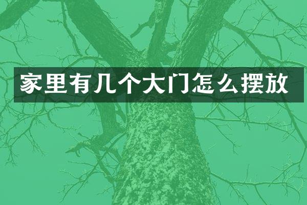 家里有几个大门怎么摆放