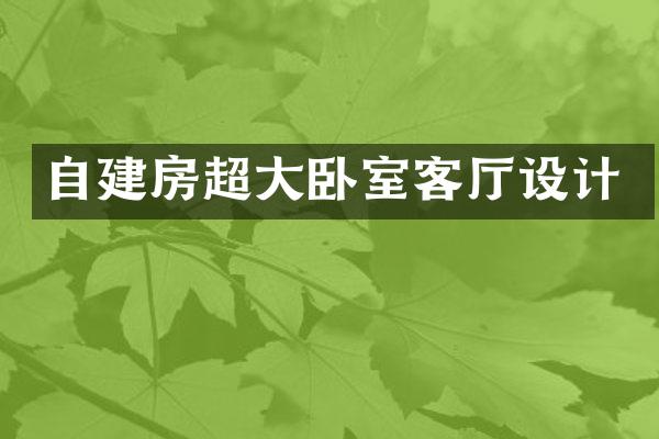 自建房超大卧室客厅设计