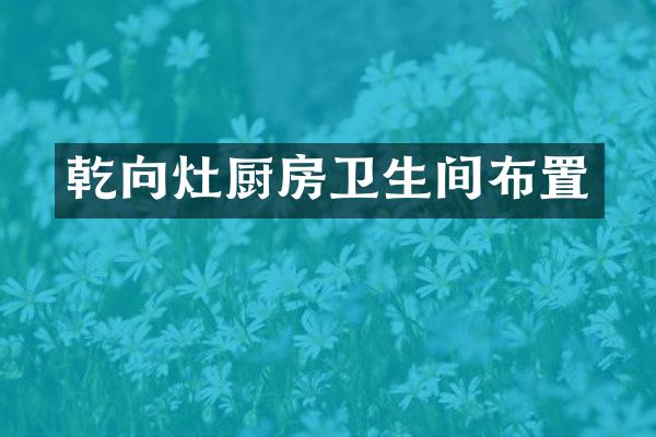 乾向灶厨房卫生间布置