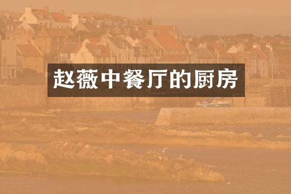 赵薇中餐厅的厨房