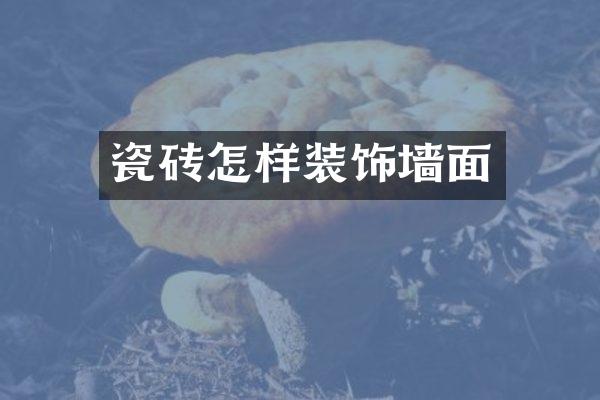 瓷砖怎样装饰墙面