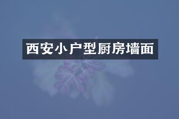 西安小户型厨房墙面