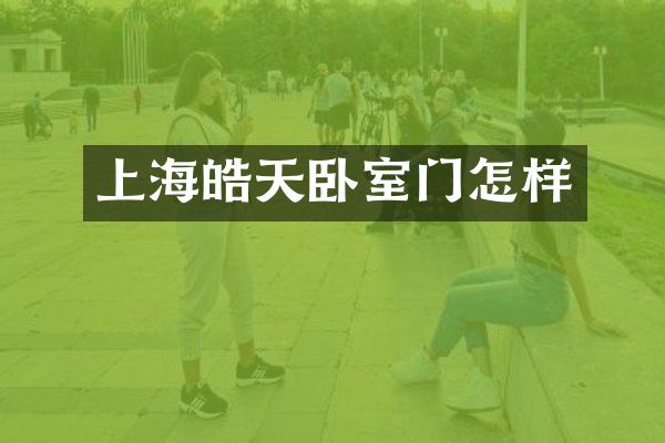上海皓天卧室门怎样