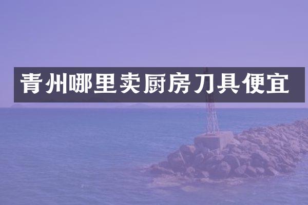 青州哪里卖厨房刀具便宜