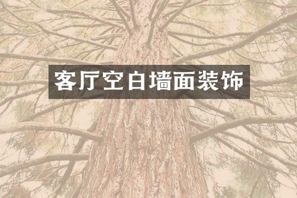 客厅空白墙面装饰