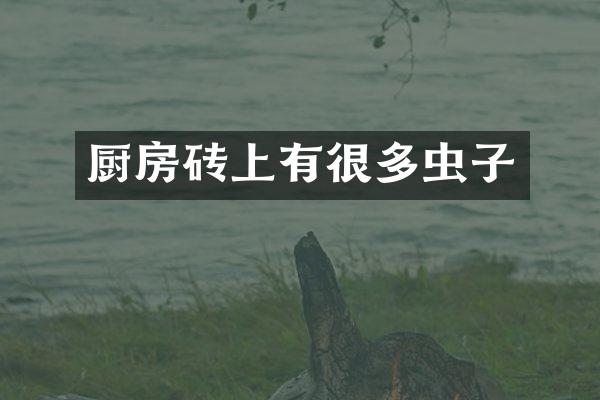 厨房砖上有很多虫子