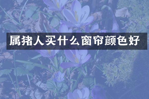 属猪人买什么窗帘颜色好