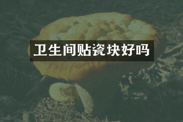 卫生间贴瓷块好吗