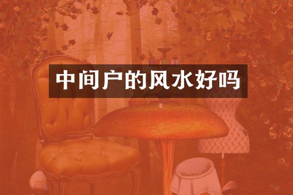 中间户的风水好吗