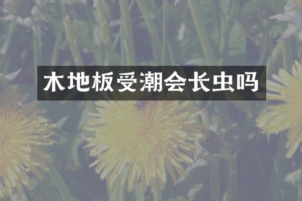 木地板受潮会长虫吗