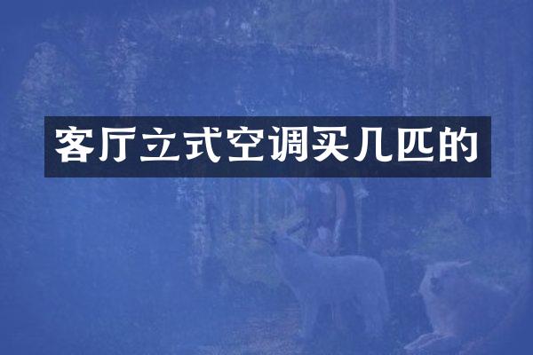 客厅立式空调买几匹的