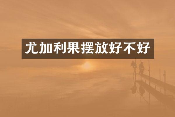 尤加利果摆放好不好