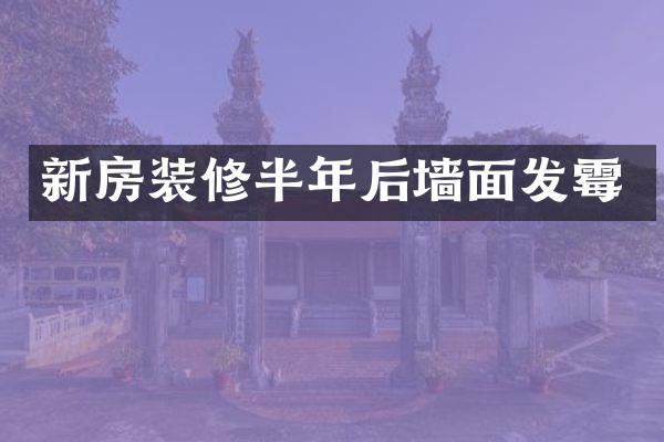 新房装修半年后墙面发霉