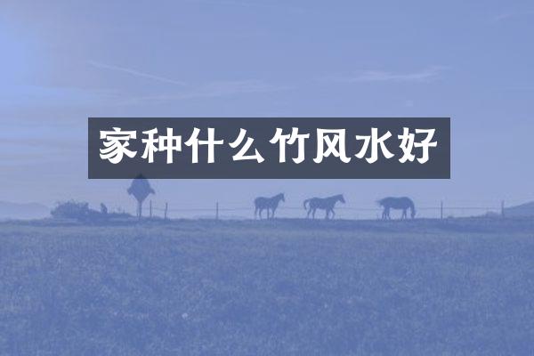 家种什么竹风水好
