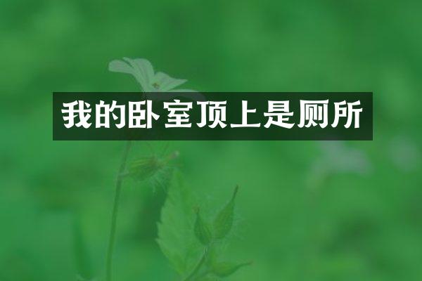 我的卧室顶上是厕所