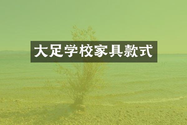 大足学校家具款式