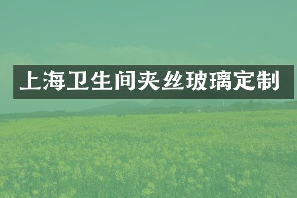 上海卫生间夹丝玻璃定制