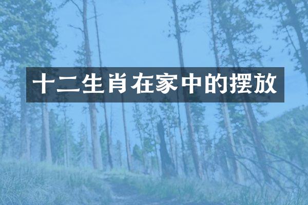 十二生肖在家中的摆放