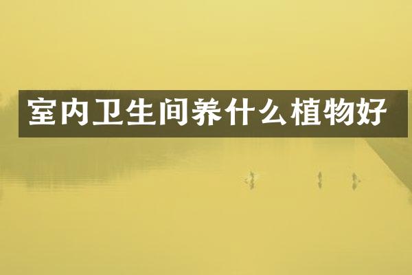 室内卫生间养什么植物好