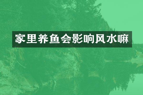 家里养鱼会影响风水嘛