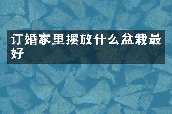 订婚家里摆放什么盆栽最好