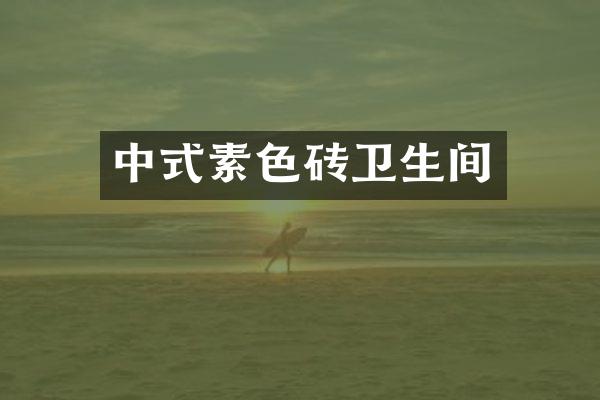 中式素色砖卫生间