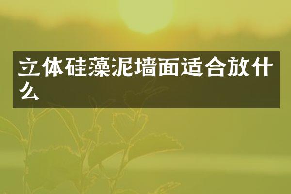 立体硅藻泥墙面适合放什么