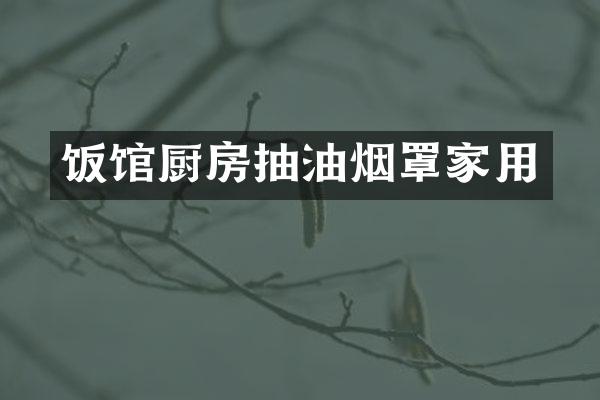 饭馆厨房抽油烟罩家用