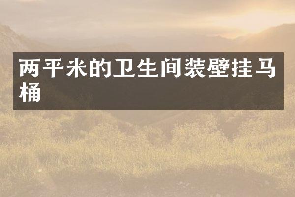 两平米的卫生间装壁挂马桶