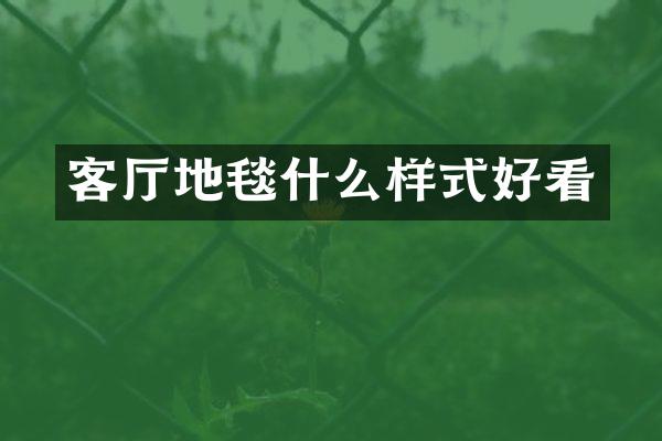 客厅地毯什么样式好看