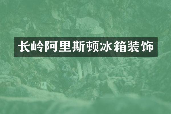 长岭阿里斯顿冰箱装饰