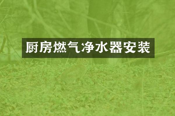 厨房燃气净水器安装