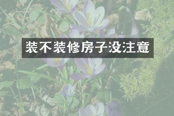 装不装修房子没注意