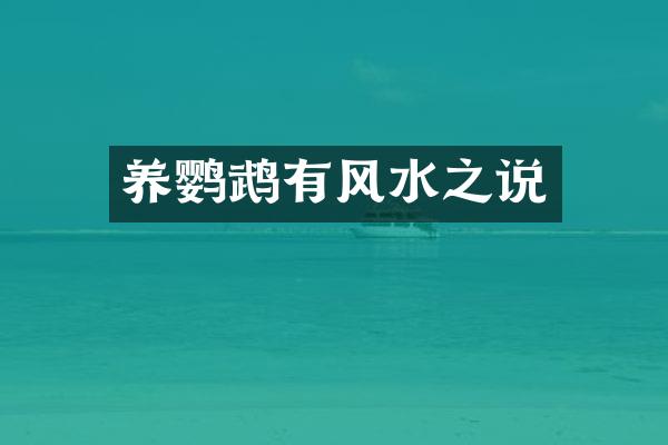 养鹦鹉有风水之说