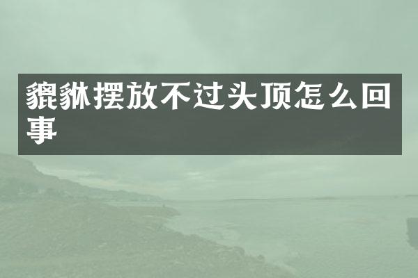 貔貅摆放不过头顶怎么回事