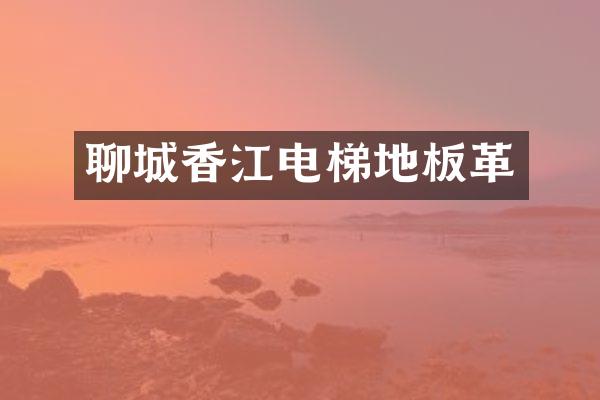 聊城香江电梯地板革