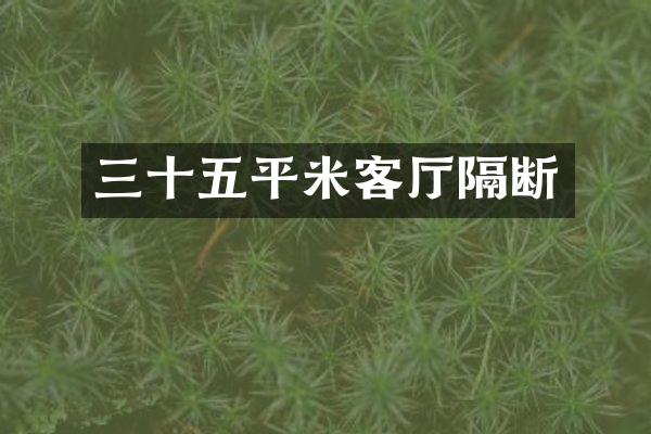 三十五平米客厅隔断