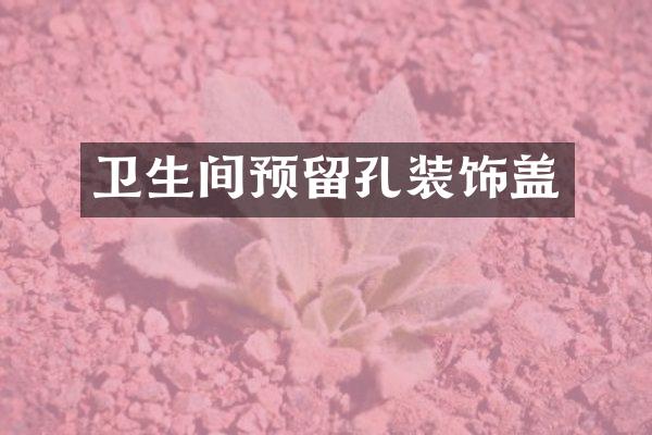 卫生间预留孔装饰盖