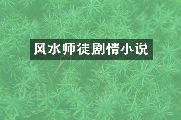 风水师徒剧情小说