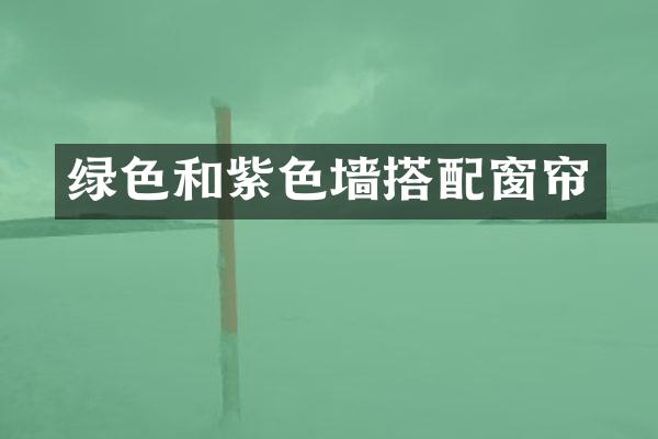 绿色和紫色墙搭配窗帘