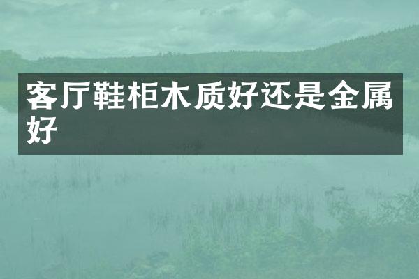客厅鞋柜木质好还是金属好