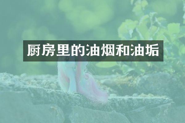 厨房里的油烟和油垢