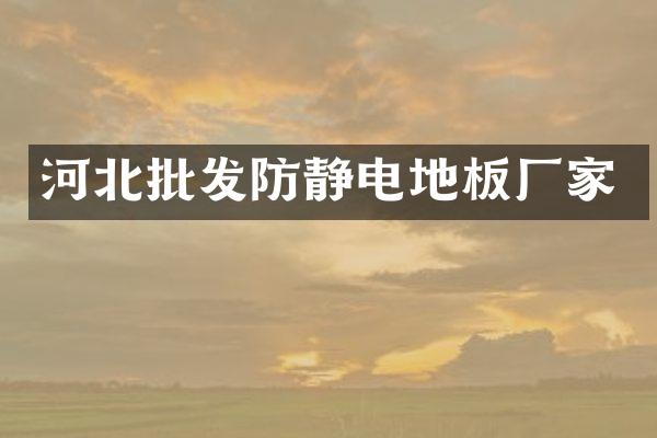 河北批发防静电地板厂家