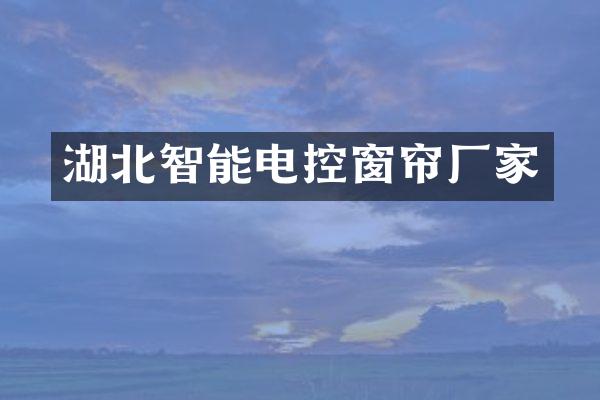 湖北智能电控窗帘厂家