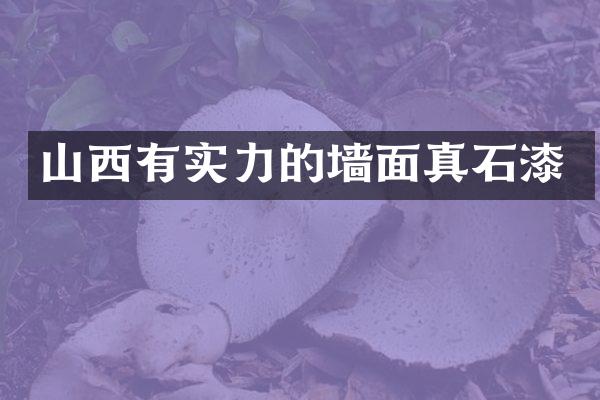山西有实力的墙面真石漆