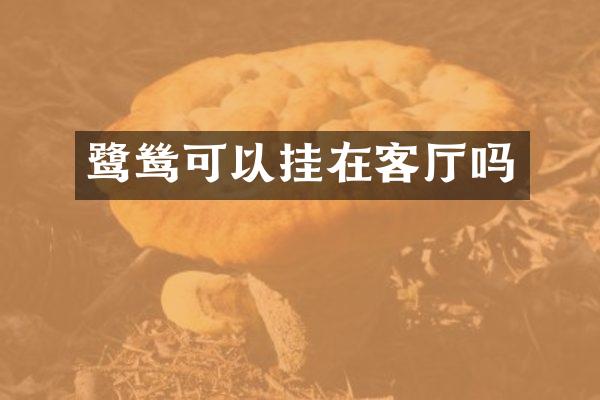 鹭鸶可以挂在客厅吗
