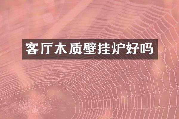 客厅木质壁挂炉好吗