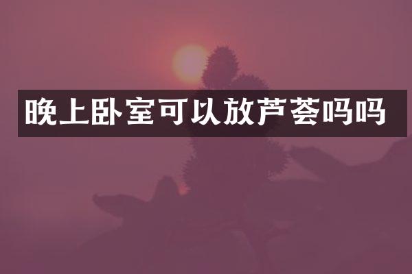 晚上卧室可以放芦荟吗吗