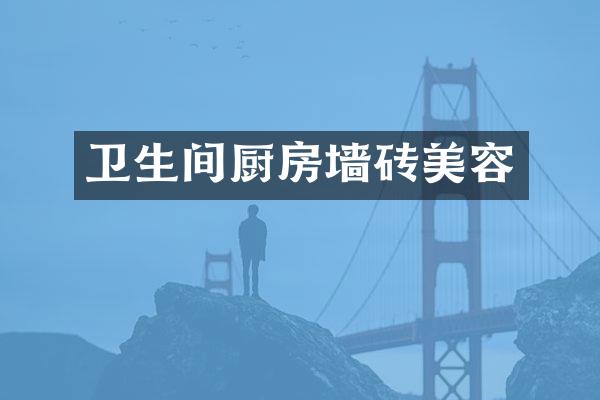 卫生间厨房墙砖美容