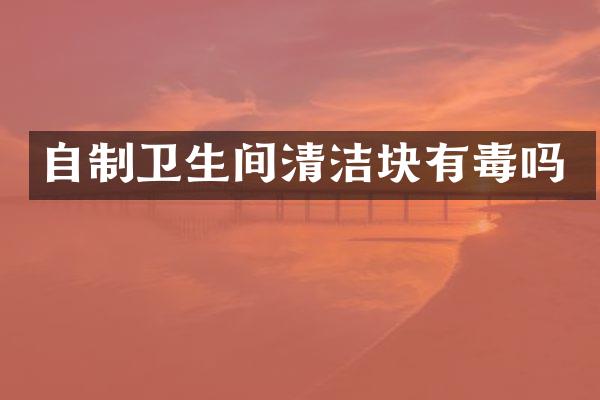 自制卫生间清洁块有毒吗